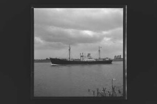 Duisburg (1951), Frachtschiff (reefer), Hamburg-Amerikanische Packetfahrt-Actien-Gesellschaft, Hamburg, Bau-Nr. 444