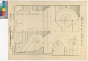 Ionische Säulenordnung. Detail der Volute