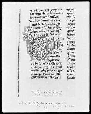Bernhard von Clairvaux, Sermones in Cantitum Canticorum — Initiale D (ilectus), Folio 66 recto