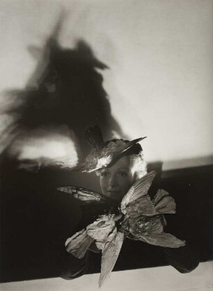"With Shadows", Modeaufnahme (Vogue)