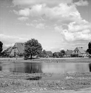 Dorfteich: im Hintergrund Bauernhäuser und Bäume