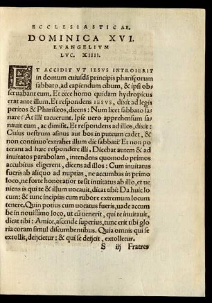 Dominica XVI. Evangelium Luc. XIIII.