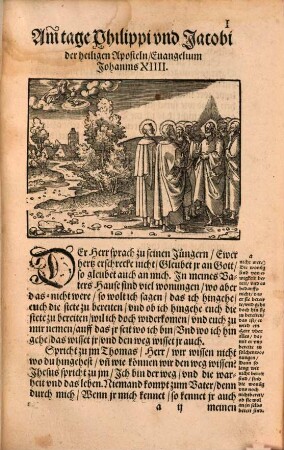Auslegung der Euangelien, an den fürnemesten Festen, im gantzen jar