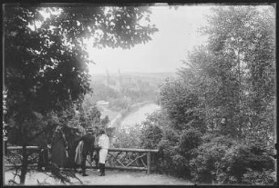 Rochlitz. Blick von der Bastei auf Rochlitz