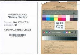 Entnazifizierung Johanna Gertrud Schumm , geb. 10.12.1911 (Studienrefrendarin)