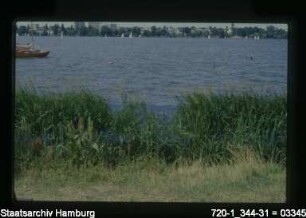 Alster, Anpflanzungen