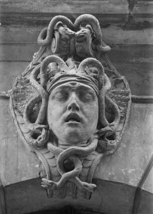 Medusenhaupt