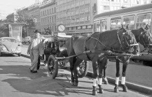 Wien: Fiaker vor seiner Kutsche, mit Kutsche vor der Oper