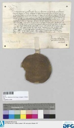 König Sigismund gebietet der Stadt Nürnberg, die jährliche Reichssteuer seinem Diener Rudolf Steyner zu übergeben und stellt Quittung aus.
