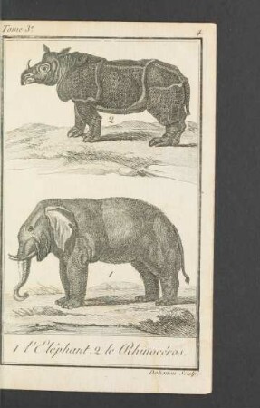 Tafel: L' Elephant, le Rhinocéros.