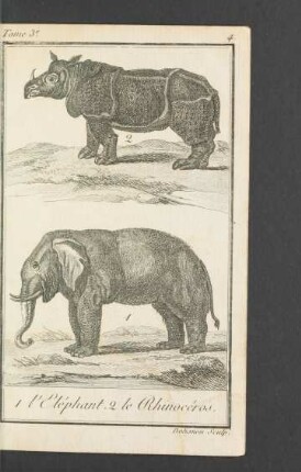 Tafel: L' Elephant, le Rhinocéros.