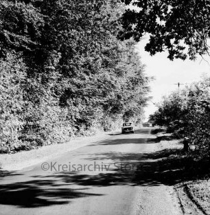 Straße am Herrenhaus: links Hecke und Bäume: rechts Büsche: hinten Pkws