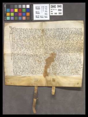 Arnsburg: Gültbrief über 100 fl. an das Kloster Arnsburg von Bürgern zu Marburg