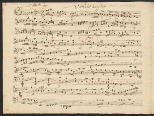 Violino unisono
