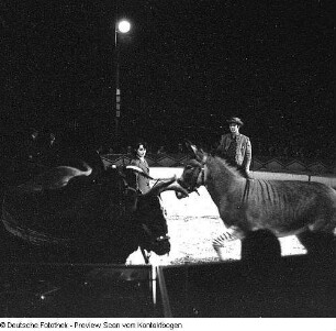 5. Nacht der Prominenten, Zirkus Berolina
