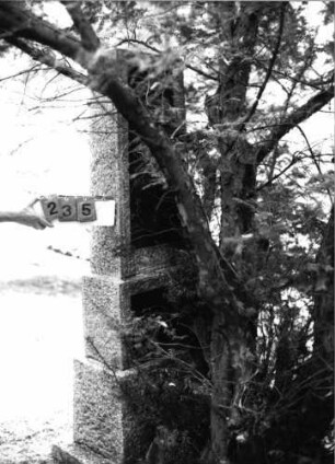 Grabstein 235 (Index: 99618361) Maße HxBxT: 200x58x26 cm: Grabstein 235