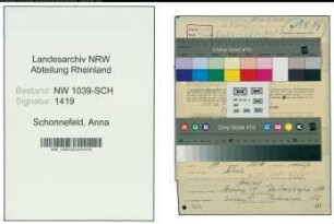 Entnazifizierung Anna Schonnefeld , geb. 18.11.1894 (Abteilungsleiterin)