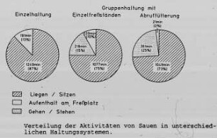 Verteilung der Aktivitäten von Sauen in unterschiedlichen Haltungssystemen