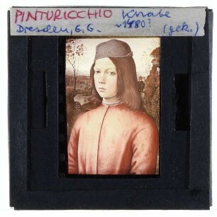 Pinturicchio, Bildnis eines Knaben