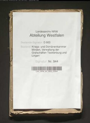 Register von ungewissen Gefällen bei den Domänen der Obergrafschaft Lingen pro 1794-1795