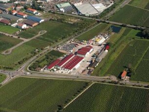 Neustadt an der Weinstraße