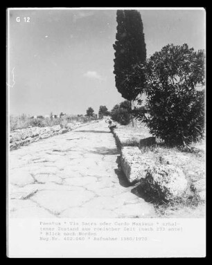 Via sacra / Via Cardo Maximus