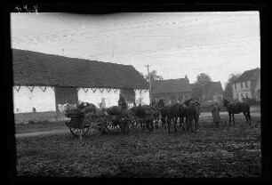 Metz-en-Couture (Dep. Pas-de-Calais, Frankreich): Pferdegespann mit gepäckbeladenem Wagenkarren, daneben weitere Pferde (Distanzaufnahme)
