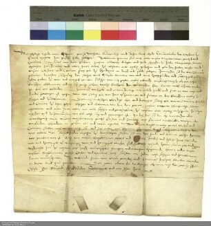 Philipp Schadt von Ostheim, Propst von Michaelsberg, sowie zwei Konventualen verleihen ein Freigut in Künzell