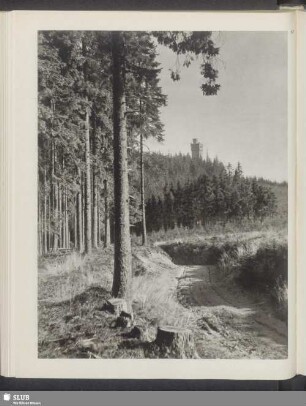 An der Hohen Warte bei Elgersburg