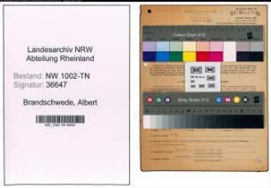 Entnazifizierung Albert Brandschwede , geb. 28.08.1902 (Spediteur)