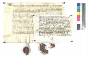 Graf Johann von Montfort und rotenfels ergänzt den Vertrag von 1504 zwischen den Gemeinden Unterkirchberg und Wiblingen über Trieb und Tratt