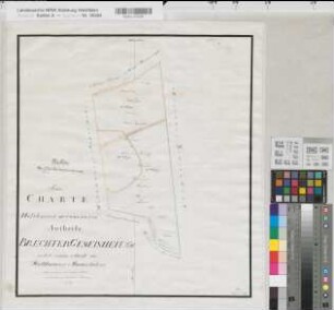 Holthausen (Dortmund), Anteil Holthausens an der Brechter Gemeinheit und Teil des Holthauser Bauernholzes, Reinkarte