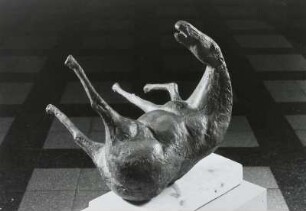 Liegender Wallach