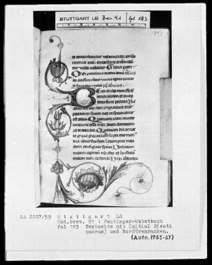 Gebetbuch des Konrad Peutinger — Initiale B(eati quorum) mit anschließender Blumenranke, Folio 183recto