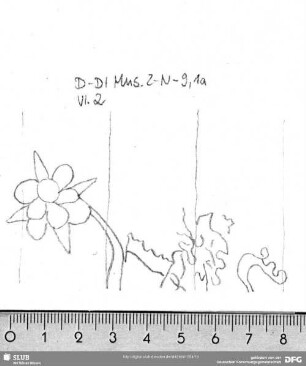 W-Dl-523 Löwe / Blüte