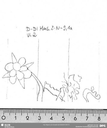W-Dl-523 Löwe / Blüte