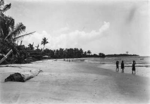Strandansicht : Blick auf einen Strand.