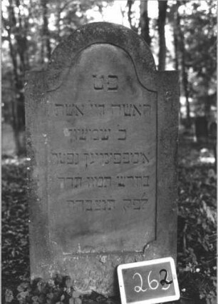 Grabstein 262 (Index: 99894649) Material: Sandstein Zustand: sehr gut Maße HxBxT: 123x65x9 cm Beschreibung: Stele mit eingezogenem Rundbogenabschluss: Grabstein 262 (1)