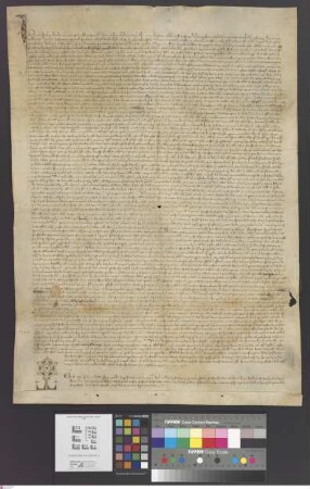 Seligenstadt: Instrumentum notariale super separatione quorundam bonarum facta conventui per abbatem Thilemannum in amplissima forma