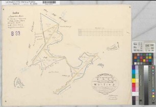 Marbeck (Borken), Gemeinheit Wirthe, Wirther Feld, Lage, Tushaus Heide, Bodarbsche Heide, Teilung der Butenwirther Mark, Bl.7 Brouillonkarte Flur VIII Welsing