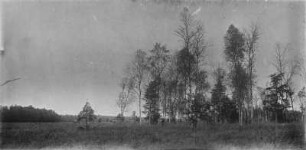 Landschaft : Blick über eine Landschaft mit Bäumen.