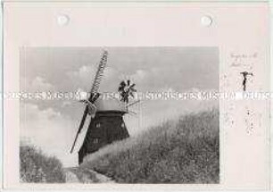 Kröpelin, Mühlenweg mit Windmühle