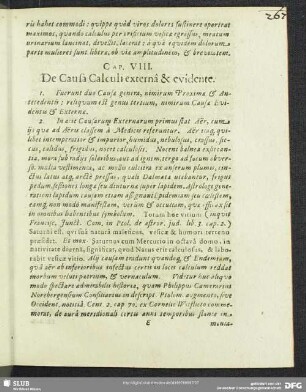 Cap. VIII. De Causa Calculi externâ & evidente
