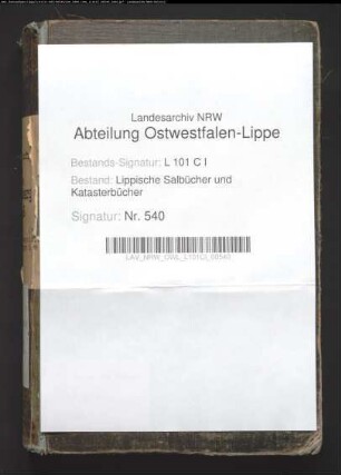 Salbuch des Amtes Blomberg von 1849, Bd. 2