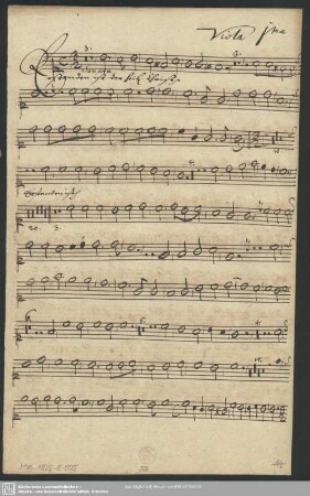 Viola prima