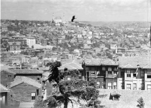 Istanbul: Adler vom Fenster der Universität, einer fliegt