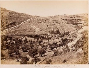 Ölberg Jerusalem, jüdischer Gottesacker