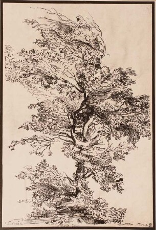 Alter Baum