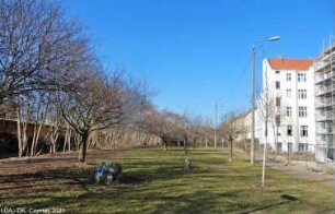 Grenzstreifen mit Resten der Hinterlandsicherungsmauer, Kolonnenweg, Lichttrasse; Berlin, Pankow