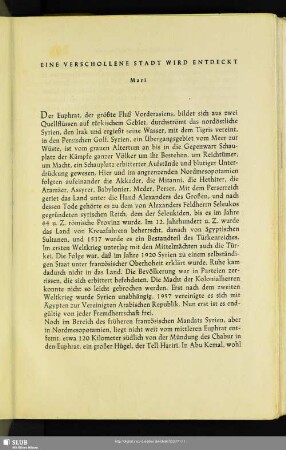 Eine Verschollene Stadt Wird Entdeckt : Mari